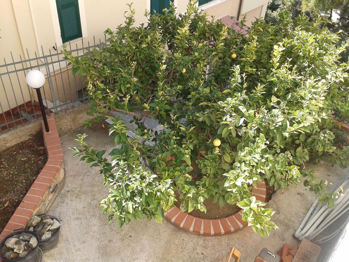 Au Cavettu B&B Varazze Esterno foto
